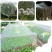 抗老化防虫网大棚专用农用果园植物花卉防虫网罩养猪场防蝇