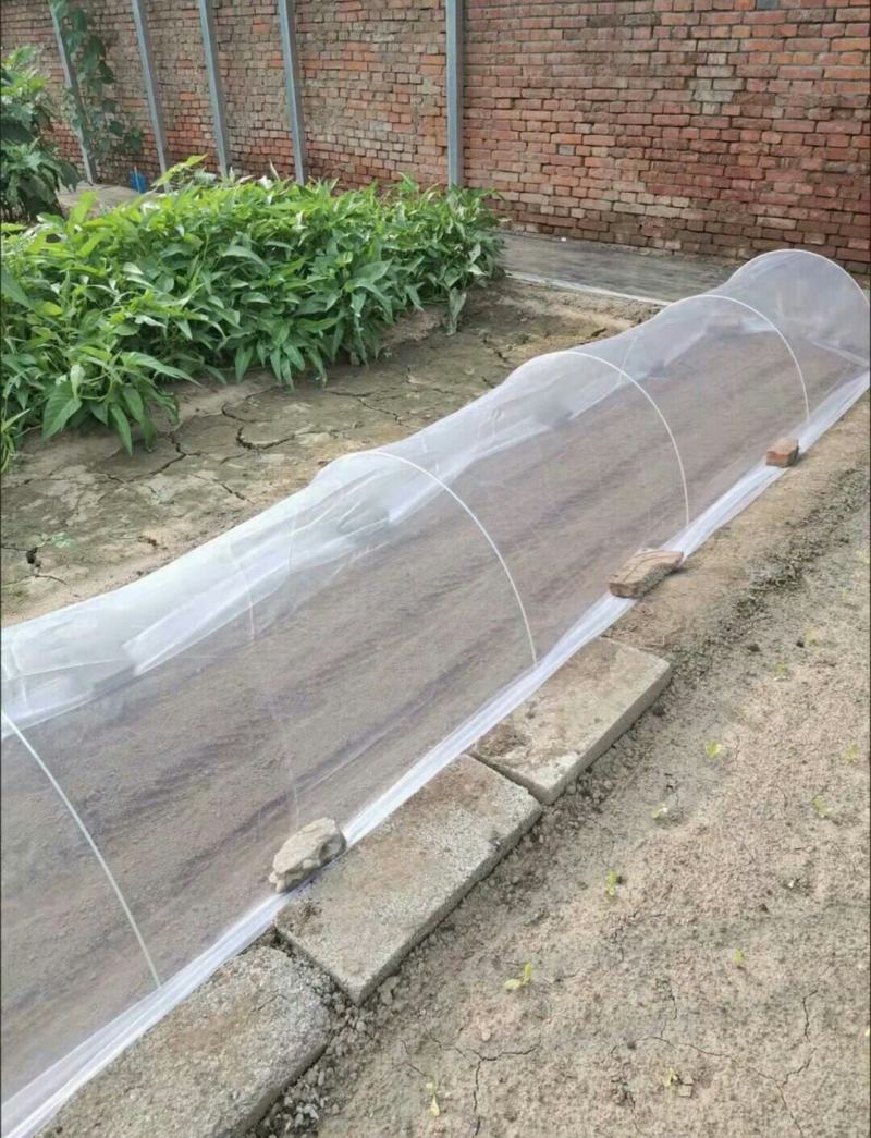 抗老化防虫网大棚专用农用果园植物花卉防虫网罩养猪场防蝇
