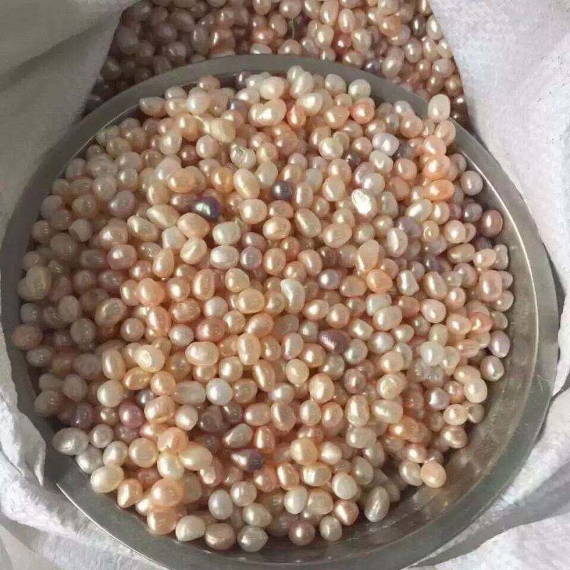 珍珠淡水磨粉珍珠供佛菩萨曼扎装藏论斤秤斤批发正品