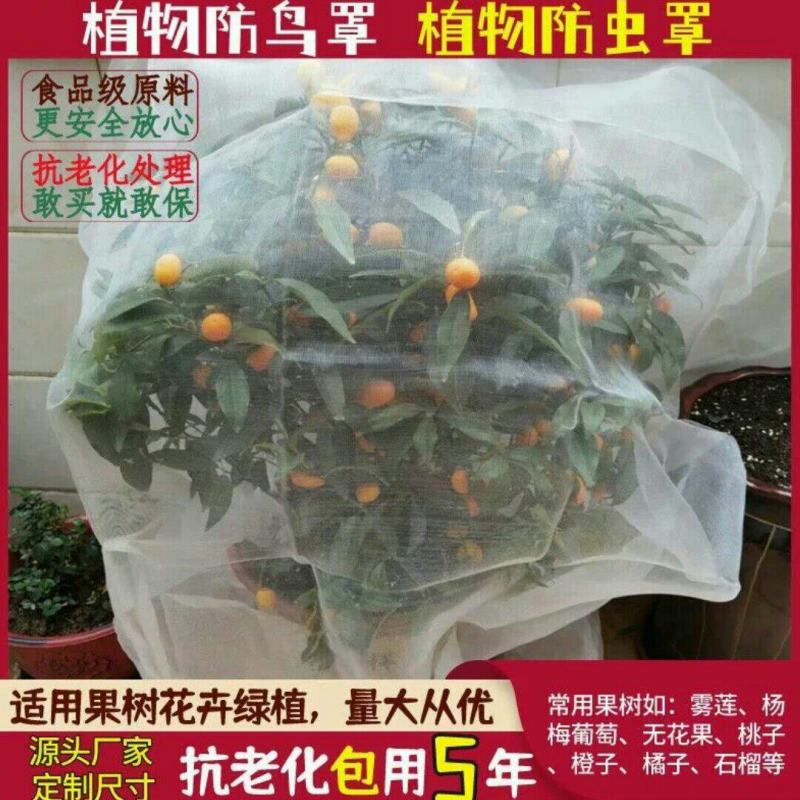 果树防虫防鸟网罩抗老化雾莲樱桃杨梅无花果葡萄桃树花卉绿植
