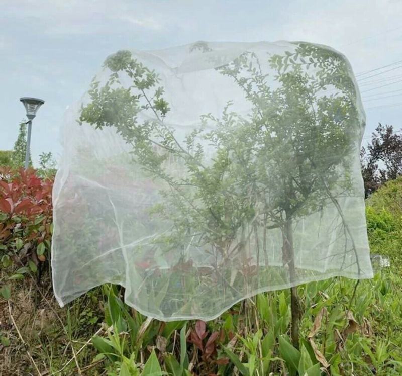 果树防虫防鸟网罩抗老化雾莲樱桃杨梅无花果葡萄桃树花卉绿植