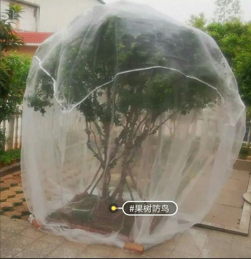 果树防虫防鸟网罩抗老化雾莲樱桃杨梅无花果葡萄桃树花卉绿植