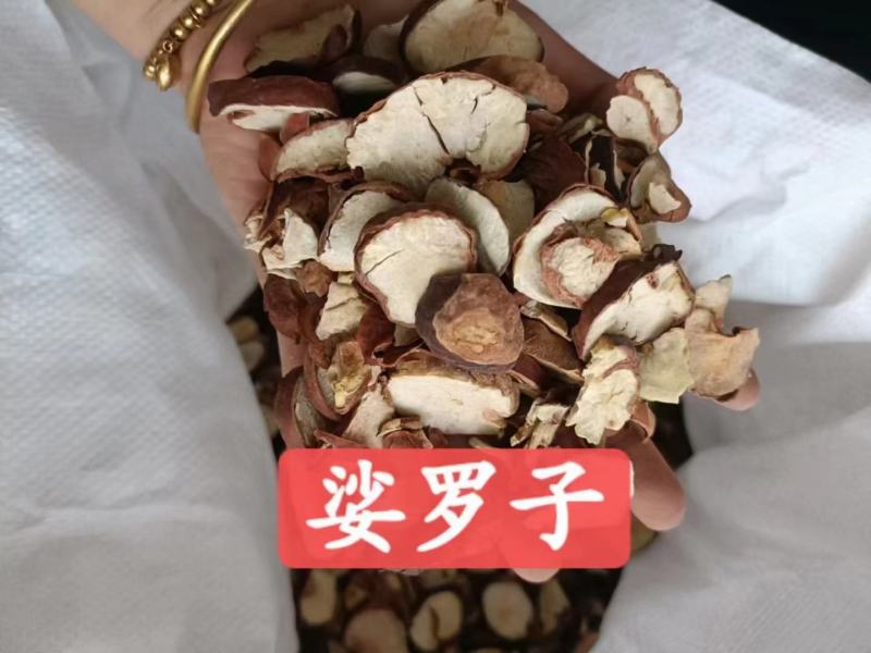 娑罗子