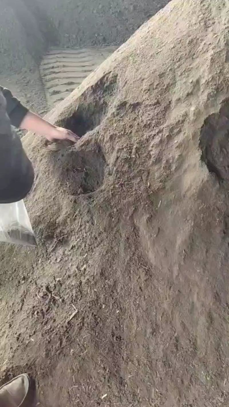精品山东滨州市沾化区纯羊粪肥大量上市品质保证诚信经营欢迎