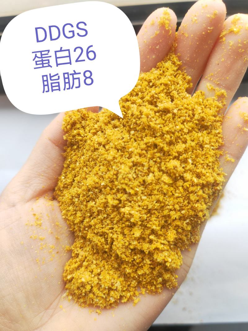 玉米酒糟DDGS蛋白26脂肪8