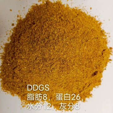 玉米酒糟DDGS蛋白26脂肪8
