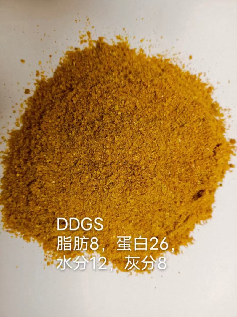 玉米酒糟DDGS蛋白26脂肪8