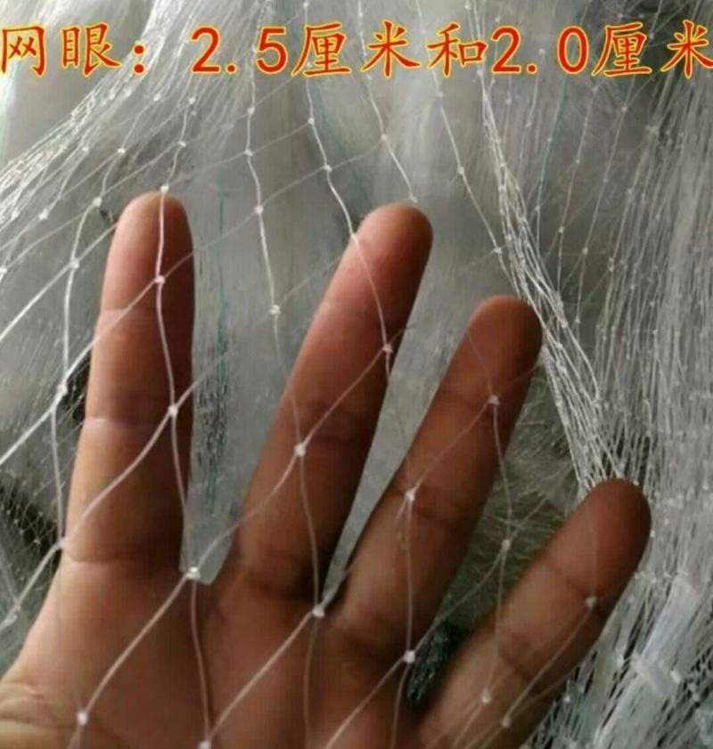 农用尼龙网防鸟用网鱼塘养殖围栏尼龙天网葡萄架果树果园防护