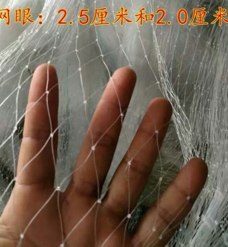 农用尼龙网防鸟用网鱼塘养殖围栏尼龙天网葡萄架果树果园防护