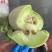 玉菇甜瓜大批量上市了。需要的老板随时联系