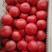 【硬粉西红柿】河北西红柿果形好颜色亮耐运输品质保证