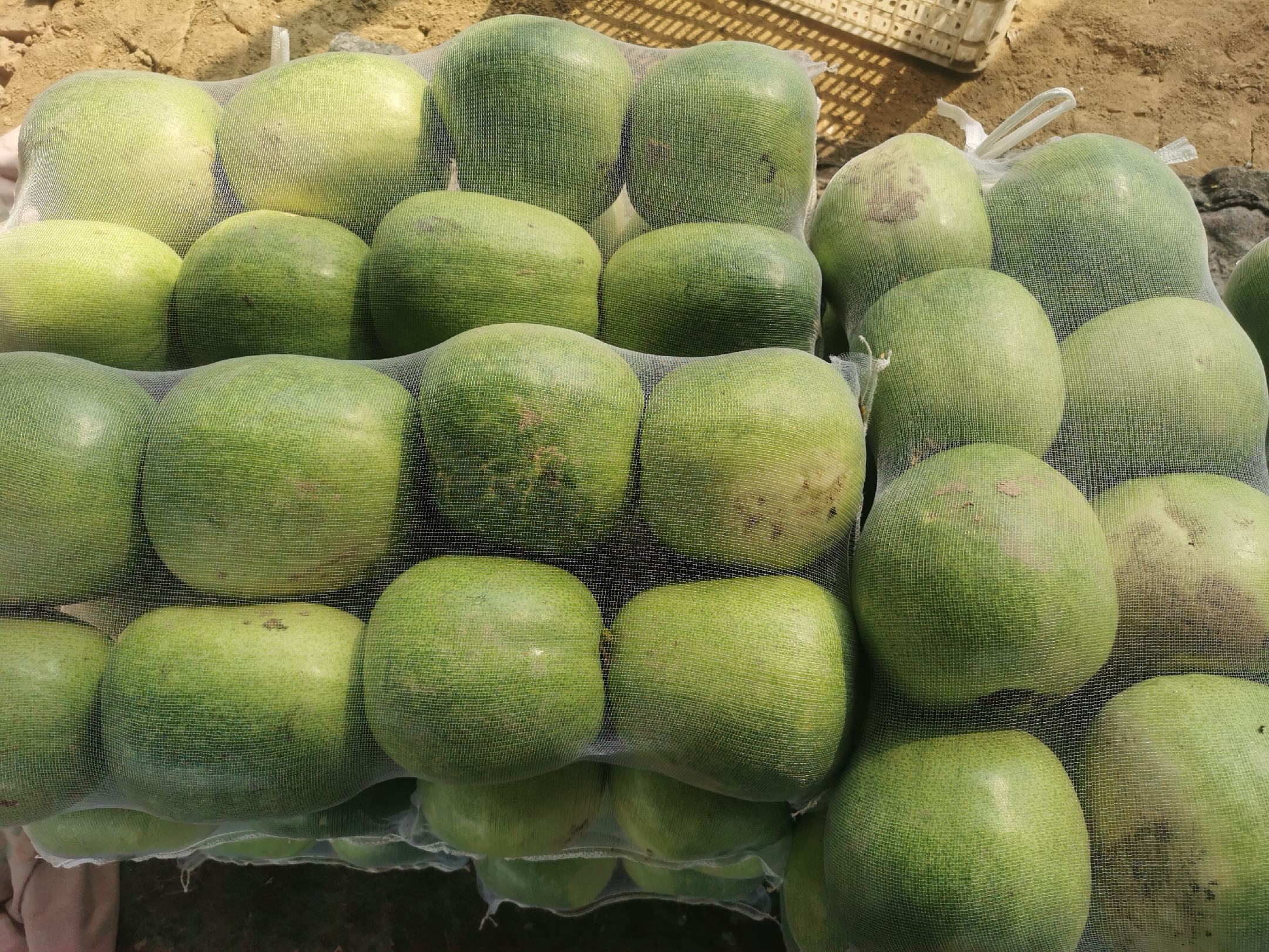 冬瓜网数字平台界面截图