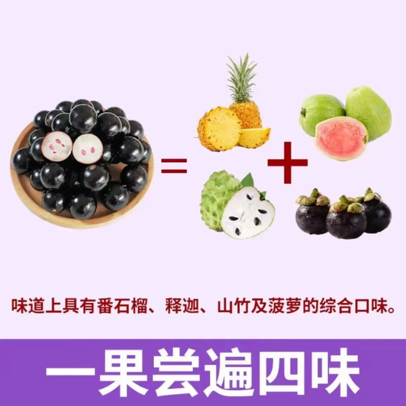 嘉宝果