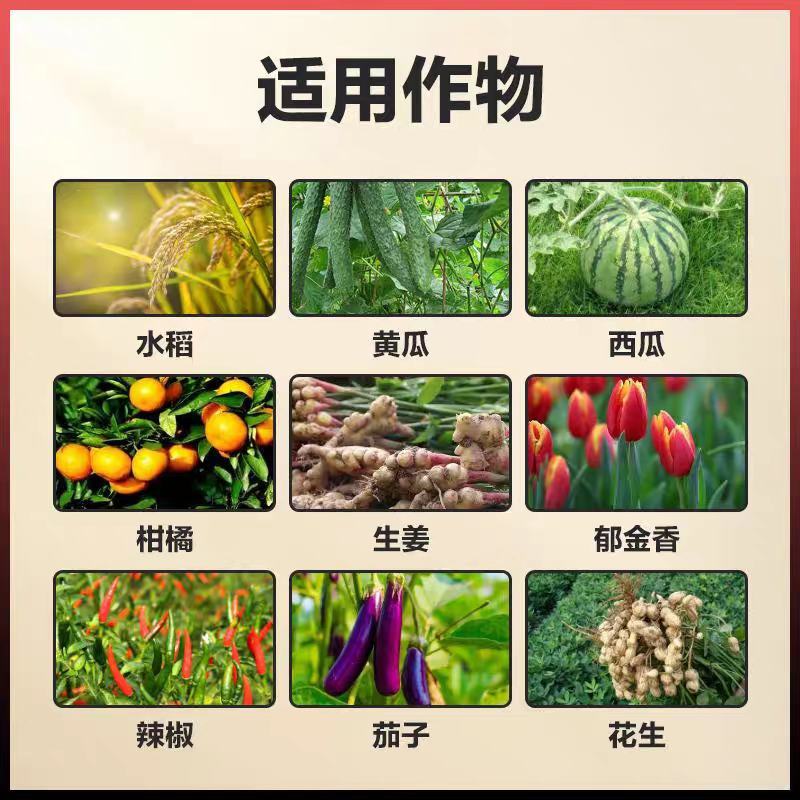 促花催花座果花多花大提高座果率果树蔬菜花卉通用500毫升