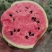 山东精品冰糖子礼品西瓜，一手产地直发皮薄脆甜，对接全国