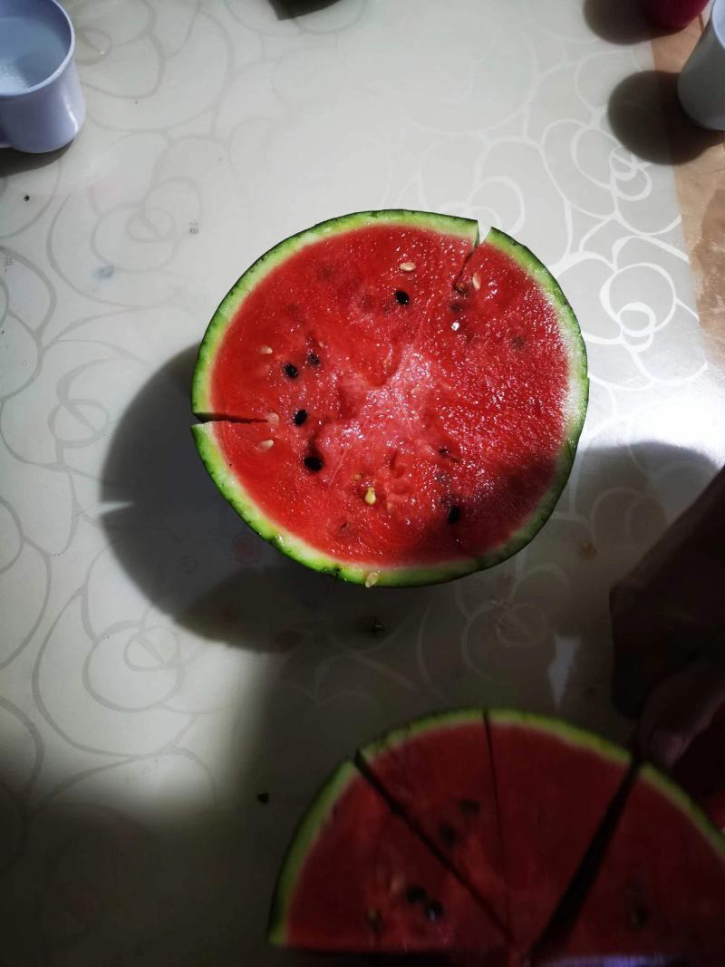 山东精品冰糖子礼品西瓜，一手产地直发皮薄脆甜，对接全国