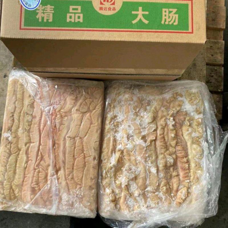 猪大肠冷冻免洗大肠抄水肠火爆干煸批发