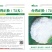 正松72天有机松花菜种子，小米粒花球松散细嫩，