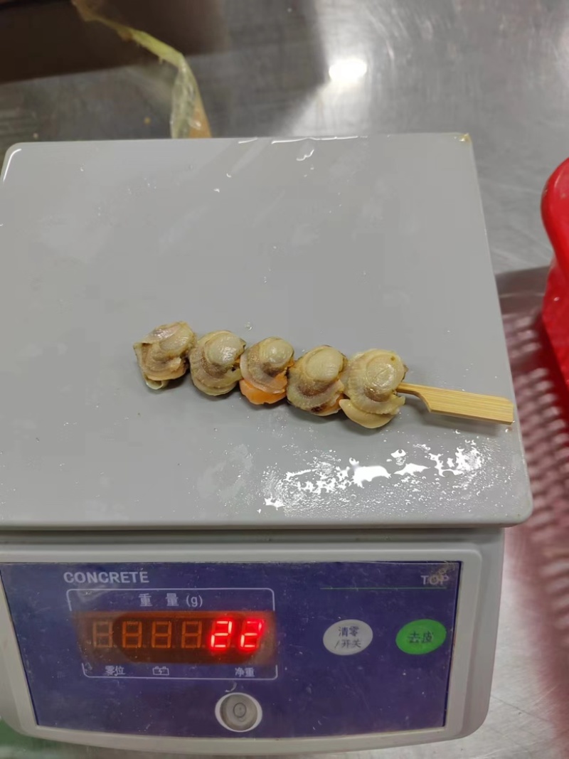 扇贝肉干冰无泡水无泡药扇贝栉孔扇贝肉