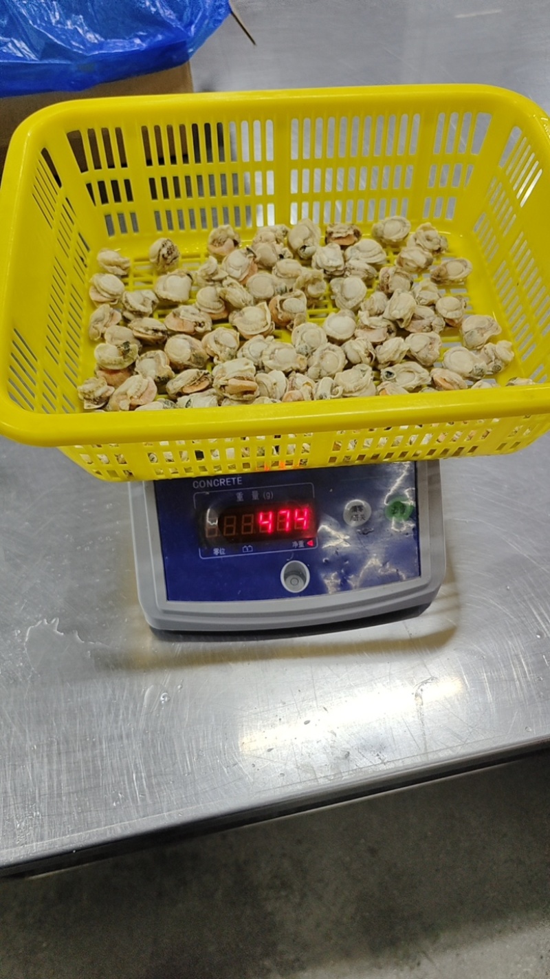 扇贝肉干冰无泡水无泡药扇贝栉孔扇贝肉