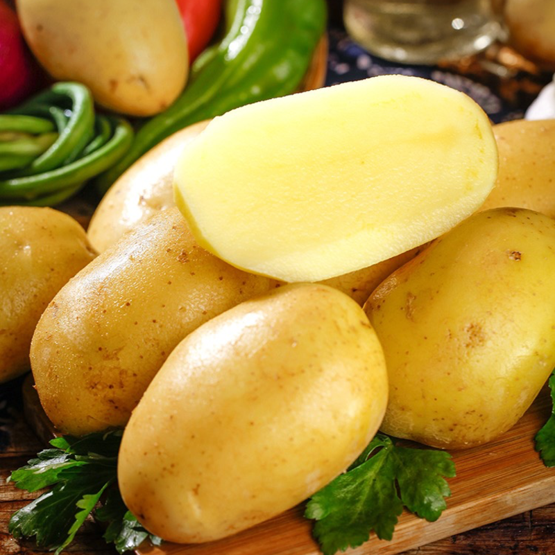 土豆，黄心土豆，产地看货，现采现发，价格美丽，欢迎选购
