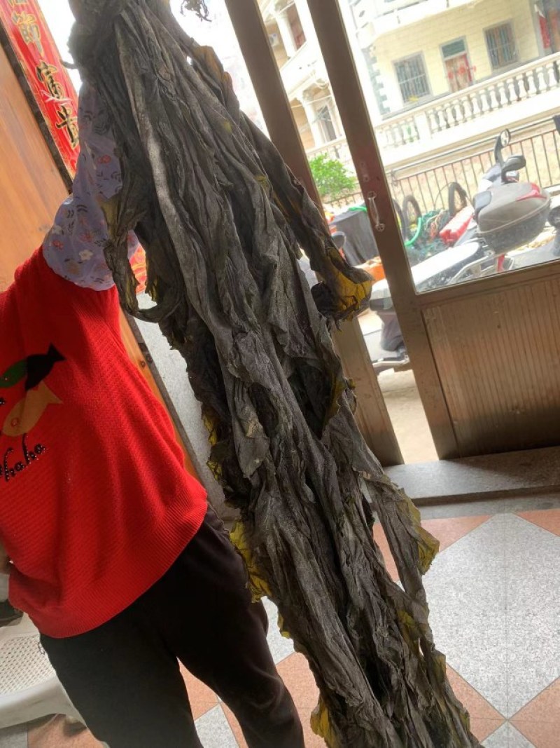 福建无沙海带挂菜直销，批发零售，全国各地发货