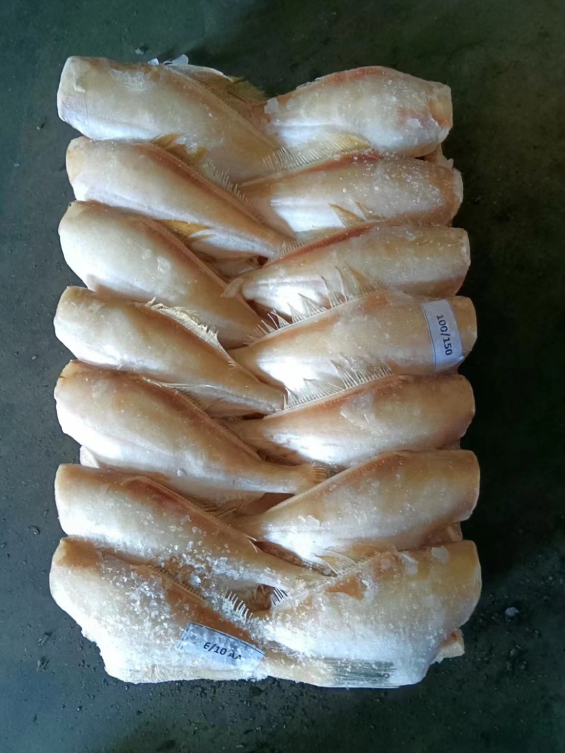 马面鱼（扒皮鱼，耗儿鱼）货源稳定，长年有货，欢迎咨询。