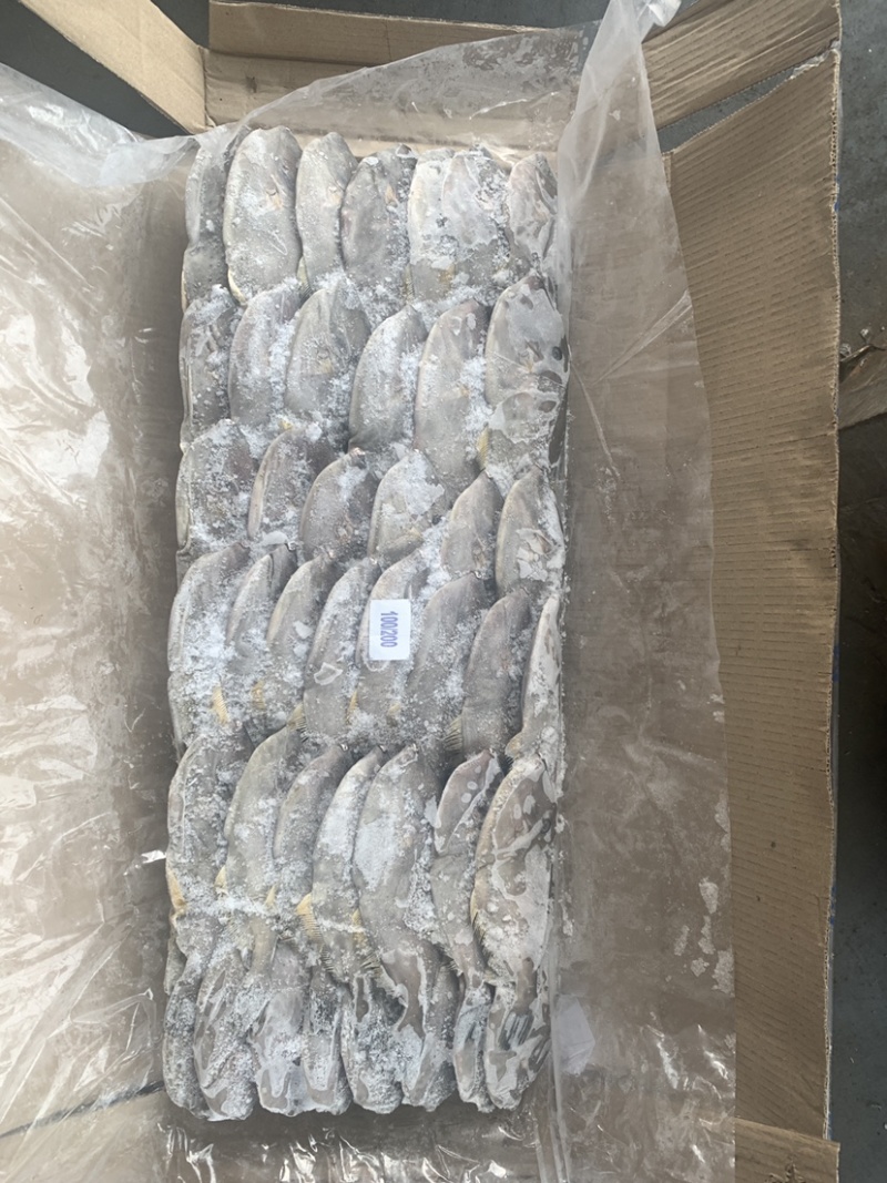 马面鱼（扒皮鱼，耗儿鱼）货源稳定，长年有货，欢迎咨询。