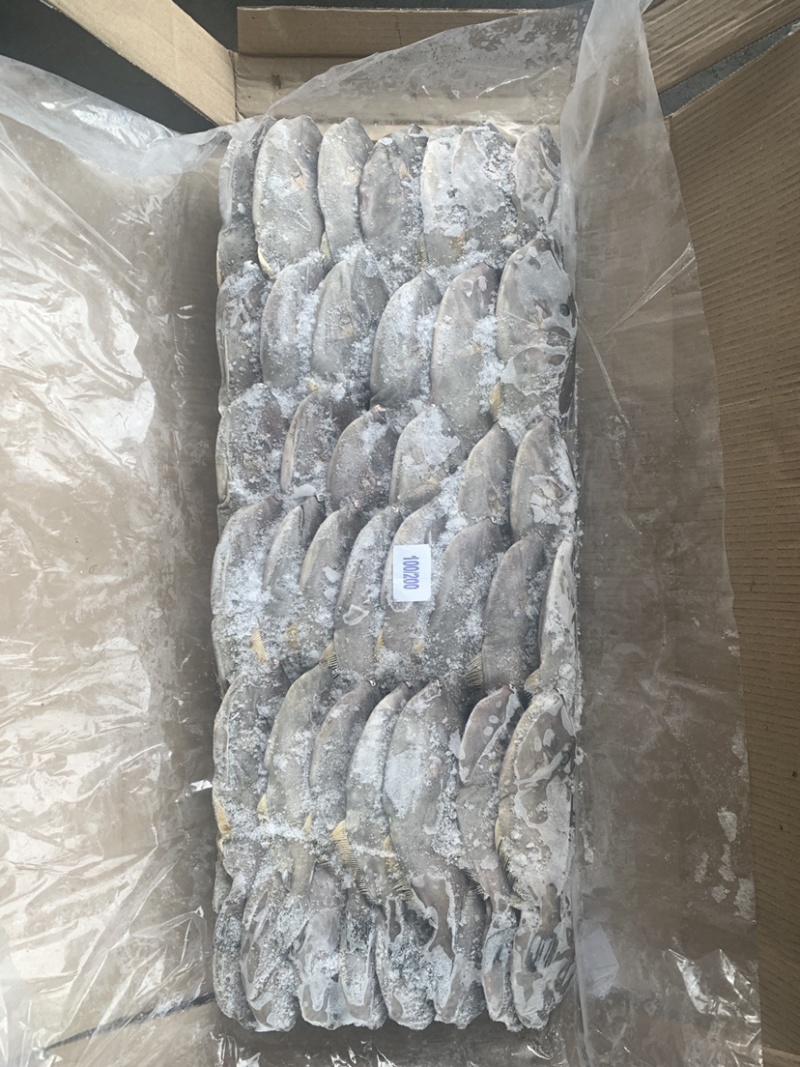 马面鱼（扒皮鱼，耗儿鱼）货源稳定，长年有货，欢迎咨询。