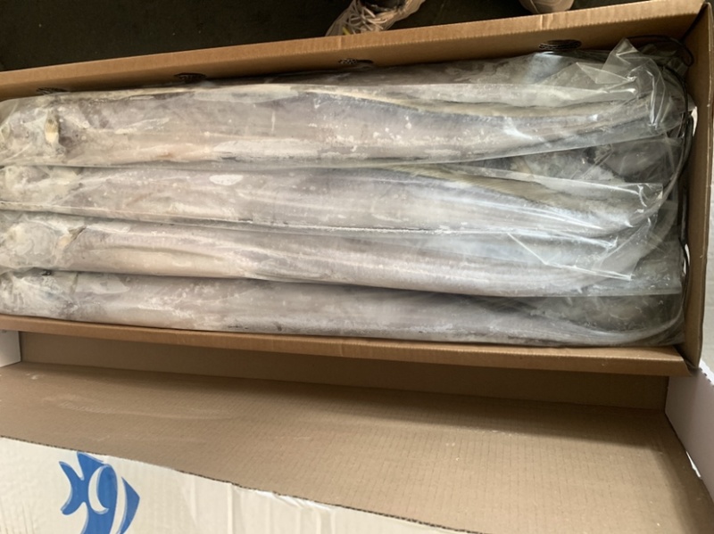 带鱼，各种带鱼，钓带网带，单冻，片冻，船冻，带鱼段等