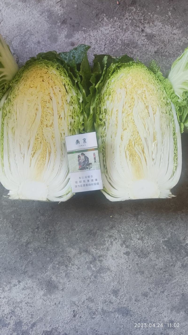黄心大白菜产地直销，只做精品，质量保证，货源充足。
