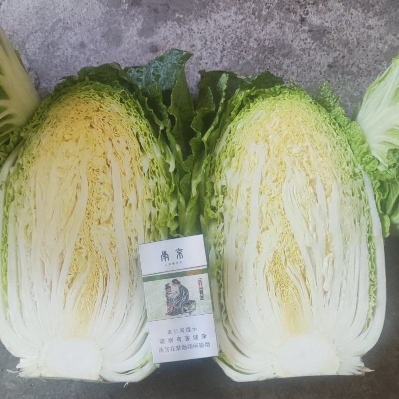 黄心大白菜产地直销，只做精品，质量保证，货源充足。