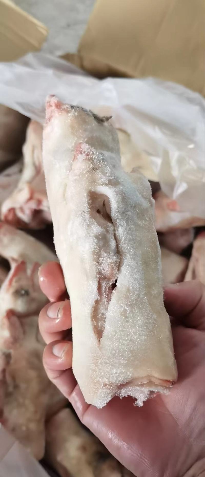 纯干后蹄22/24的