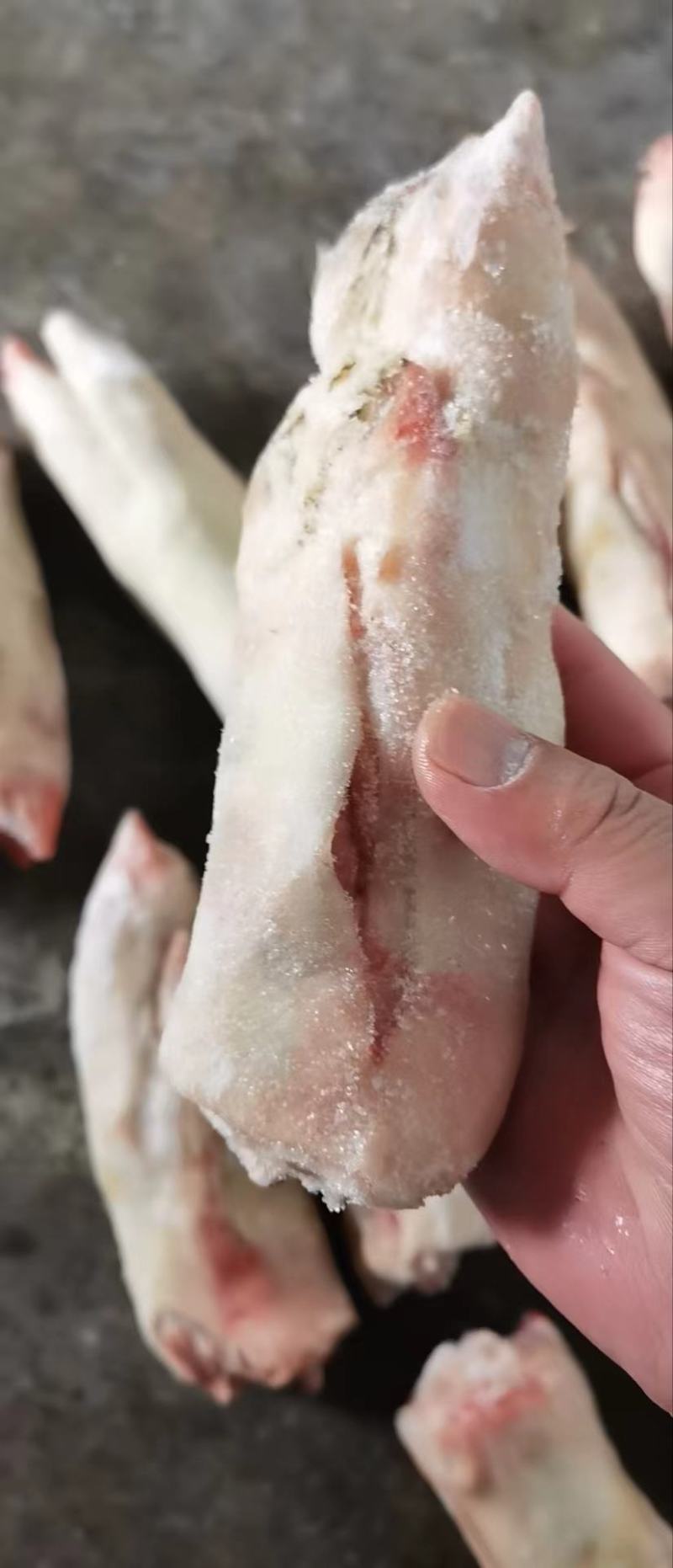 纯干后蹄22/24的