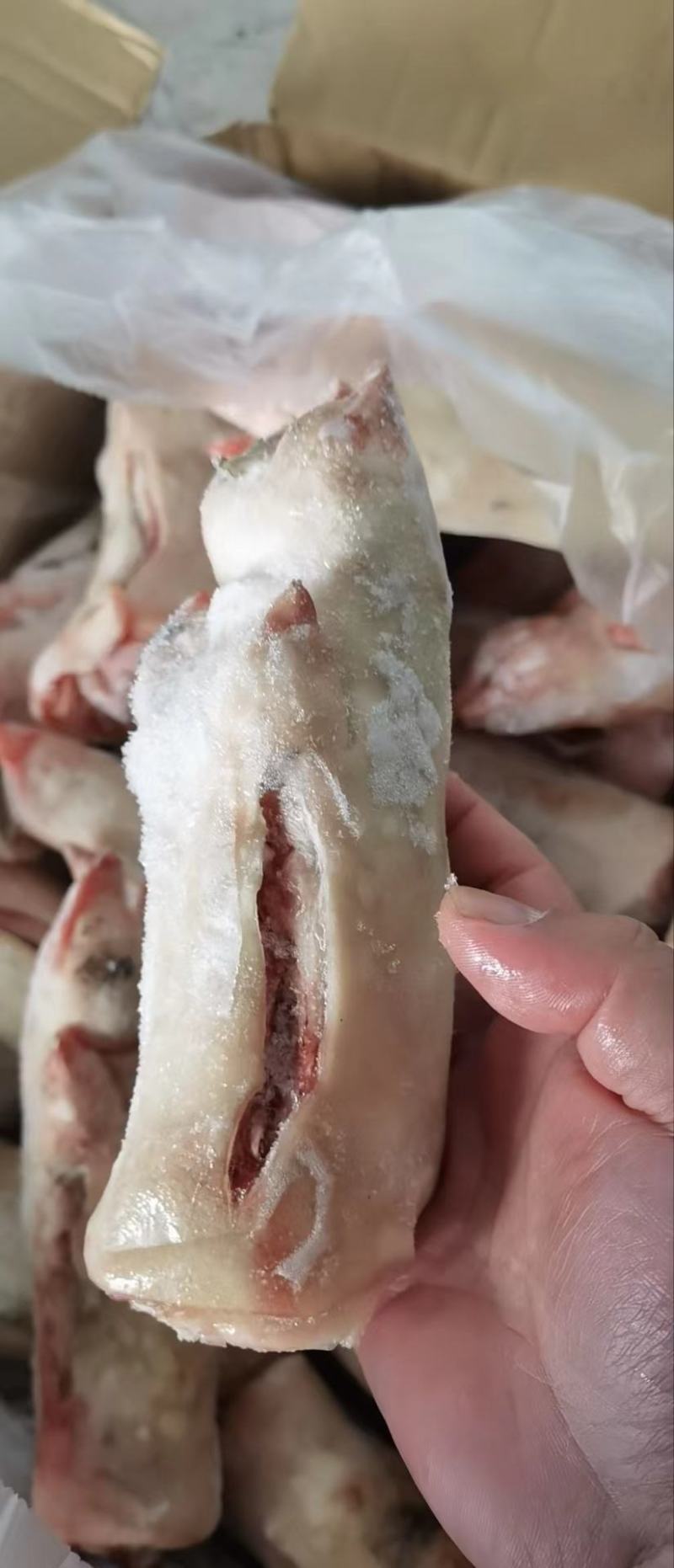 纯干后蹄22/24的