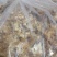 星必德绣球菌干货10斤装