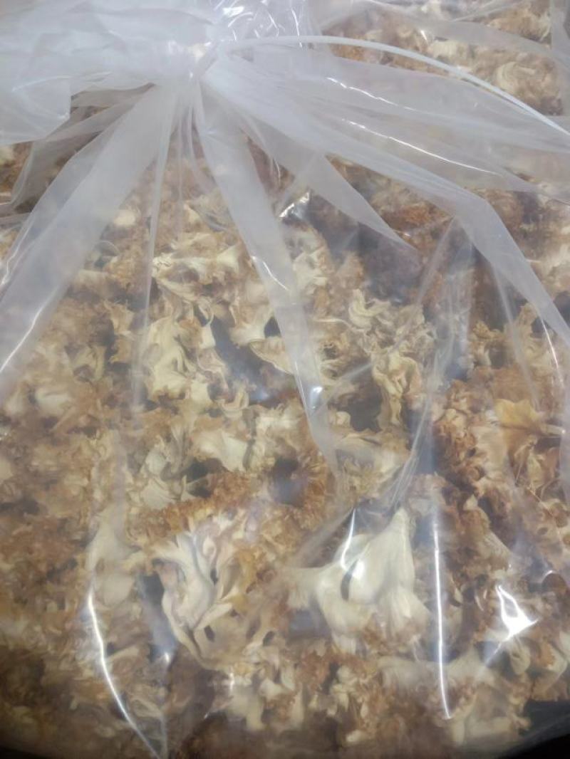 星必德绣球菌干货10斤装
