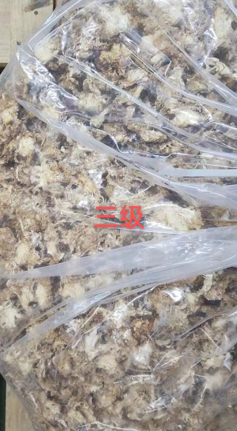 星必德绣球菌干货10斤装