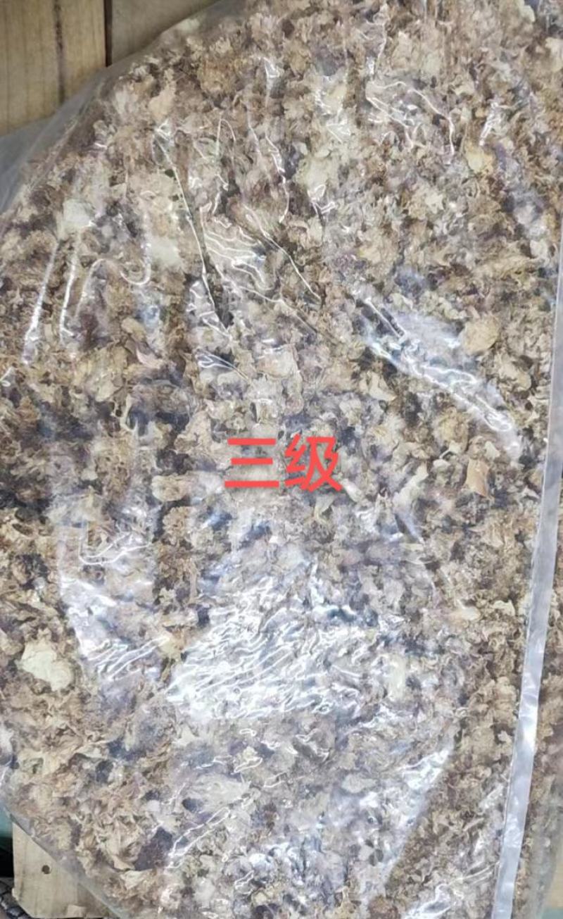 星必德绣球菌干货10斤装
