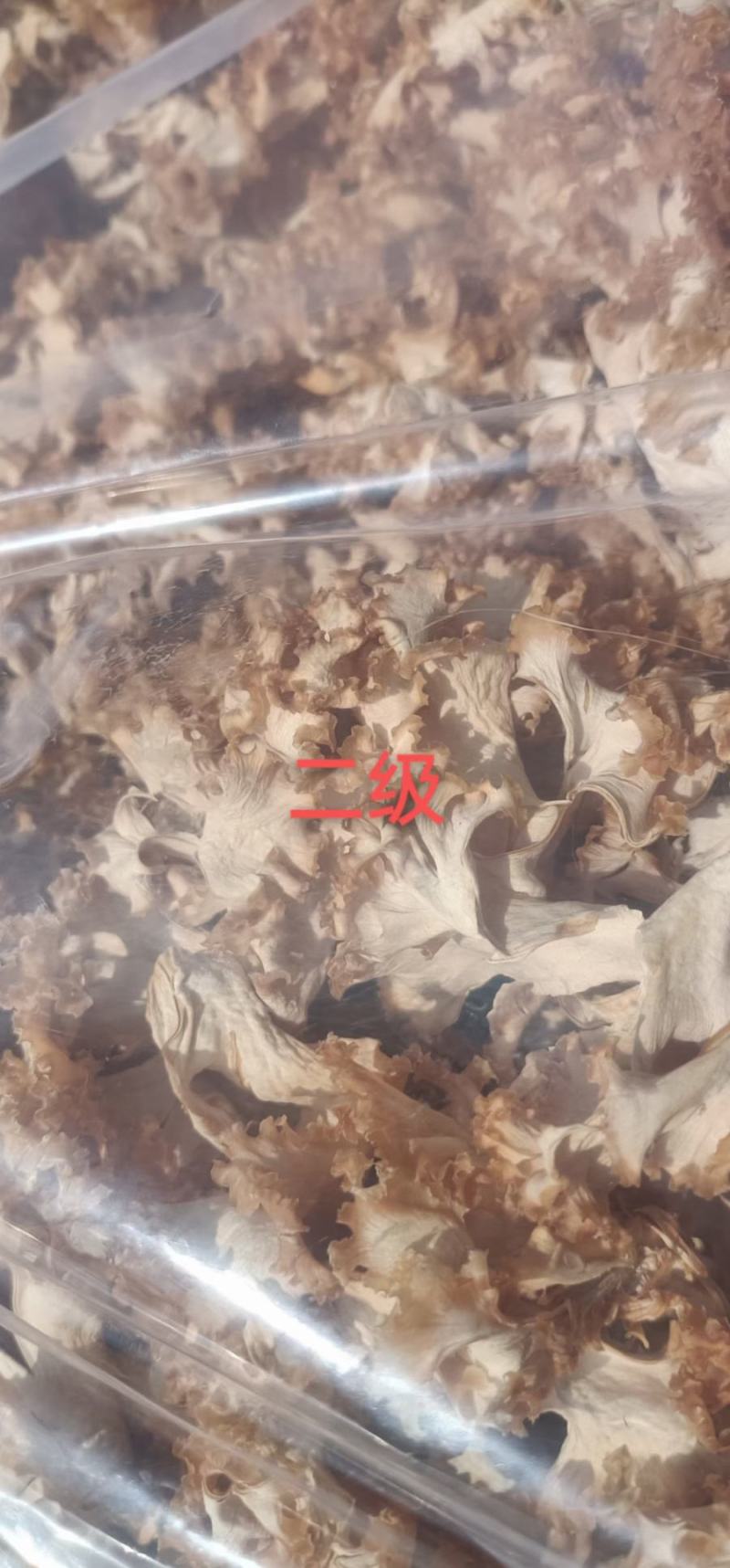 星必德绣球菌干货10斤装