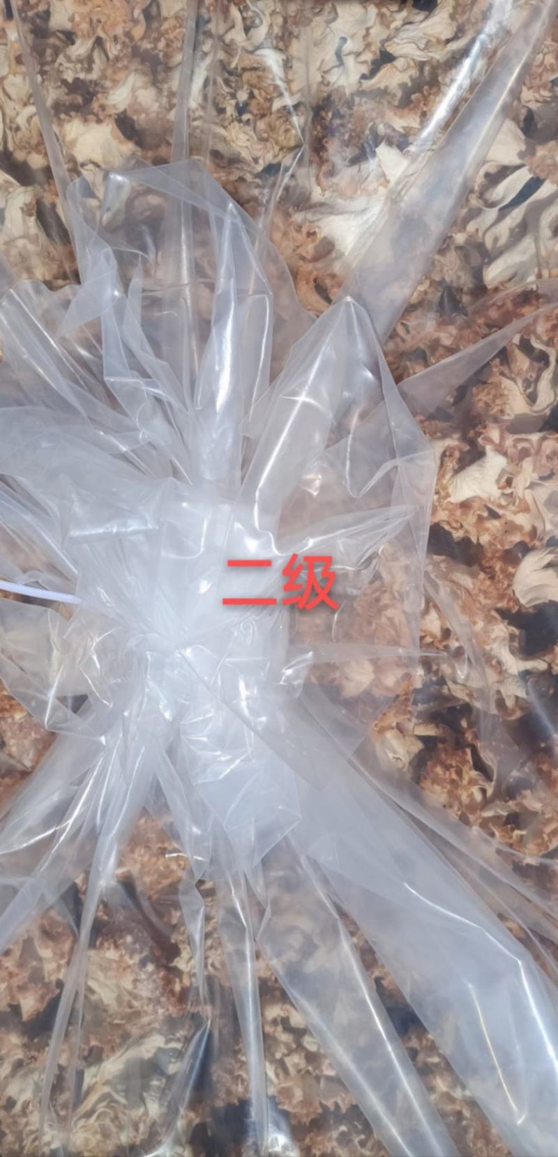 星必德绣球菌干货10斤装