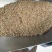 棒棒草籽小龙虾养殖苦梗草菵草水草耐低温搞寒冬季秋季棒棒草