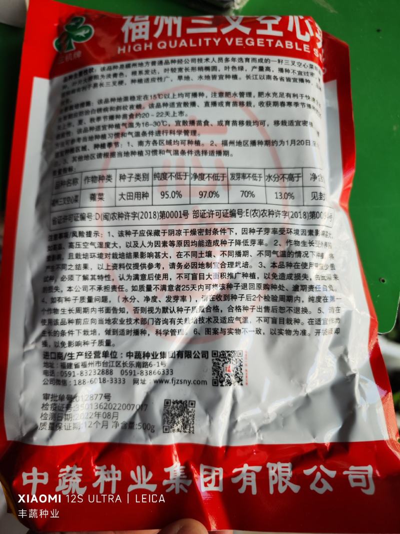 福州三叉空心菜种子500克