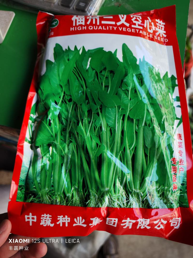 福州三叉空心菜种子500克