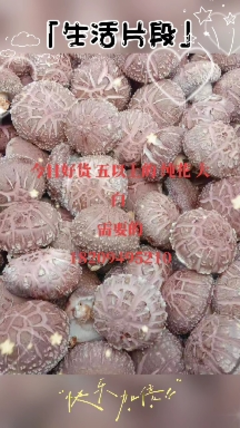 鲜香菇