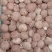 鲜香菇