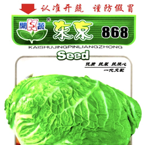 正宗东京868白菜种子