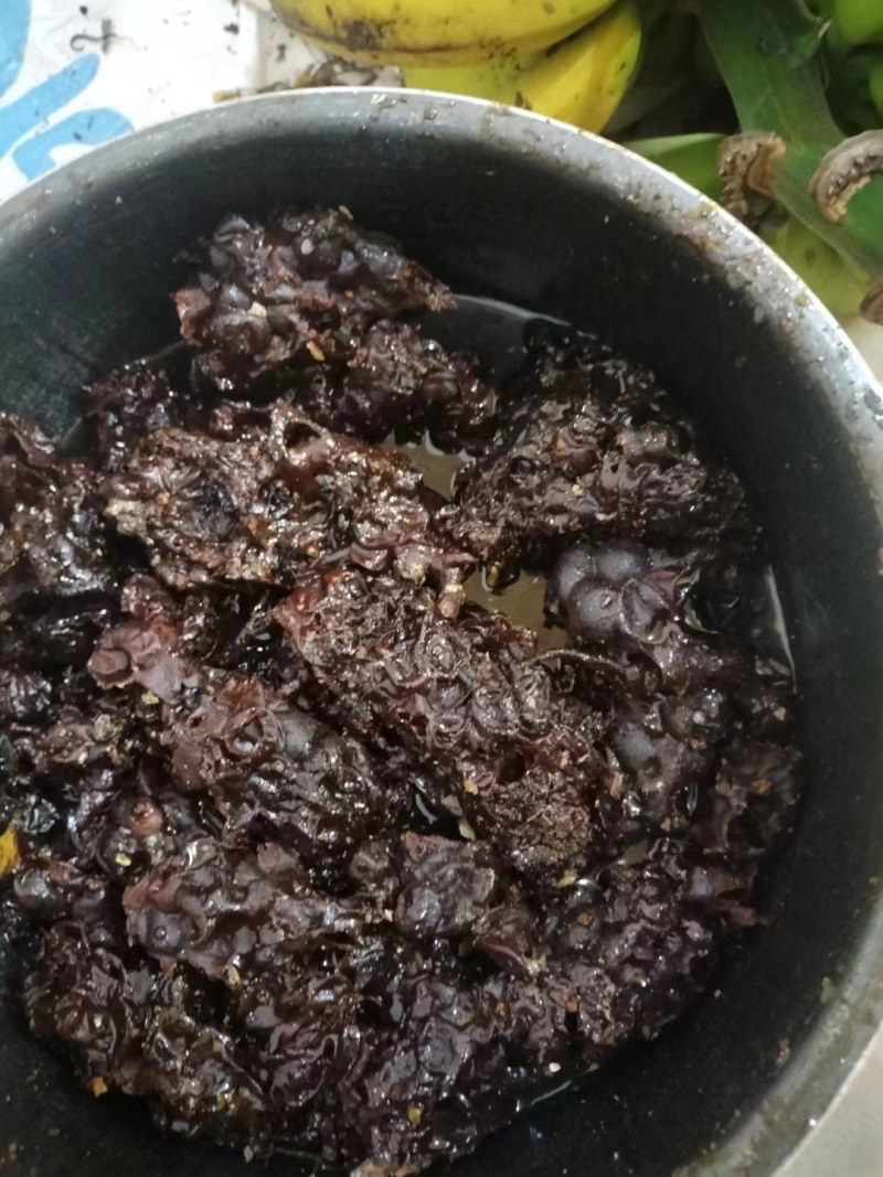双蜂