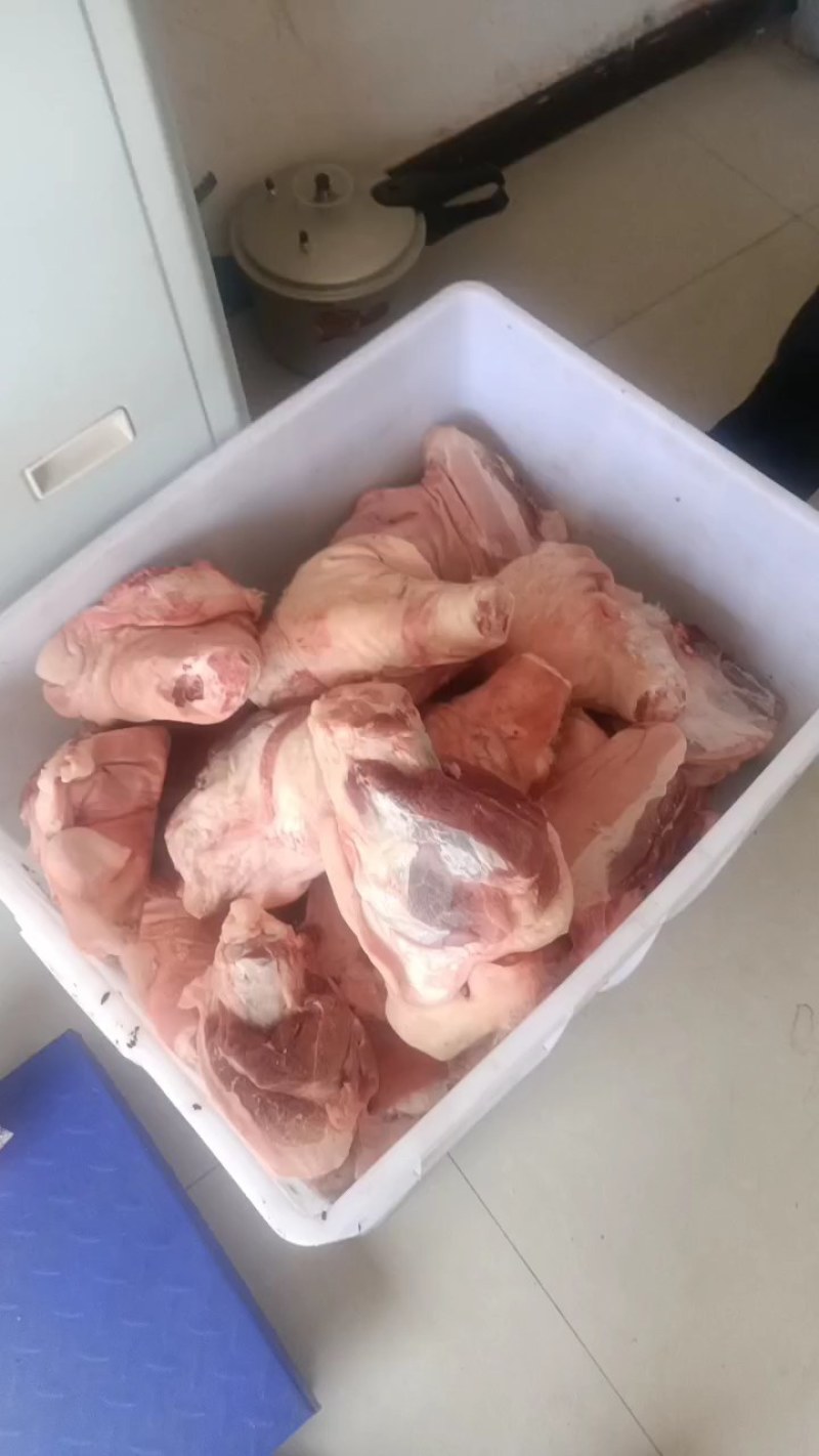 猪纣子