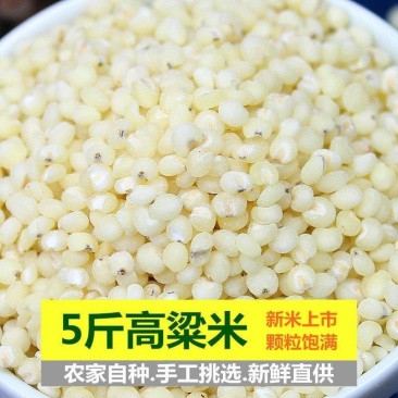 新高粱米5斤农家去壳白高粱酿酒高粱米五谷杂粮粗粮大米粮